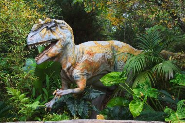 Jurasik dönemin sonlarından Allosaurus. Saurischians (Kertenkele Kalçaları) Fosil sahası: ABD, Avustralya, Afrika ve Avrupa