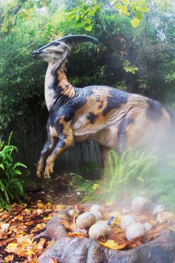 Parasaurolophus, Kretase döneminin sonlarındaki ördek gagalı dinozor grubuna aittir. Fosil sahası: ABD ve Kanada