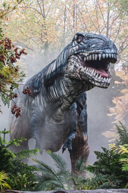 Kretase döneminden Tyrannosaurus Rex. Büyük bir gruba aitti: Saurischian (Kertenkele-kalçalar) Fosil bölgesi: ABD