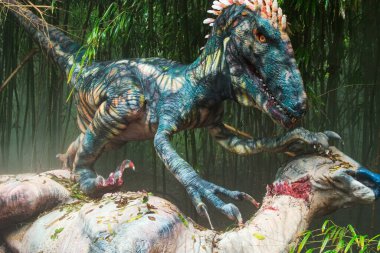 Deinonychus (Korkunç Pençe) erken Kretase döneminden kalma Parasaurolophs dinozoruyla beslenir. Sürü halinde avlandığı ve et yediği sanılıyordu. Fosil sitesi: ABD