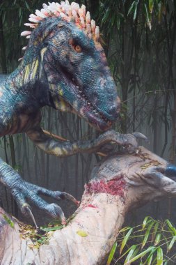 Deinonychus (Korkunç Pençe) erken Kretase döneminden kalma Parasaurolophs dinozoruyla beslenir. Sürü halinde avlandığı ve et yediği sanılıyordu. Fosil sitesi: ABD