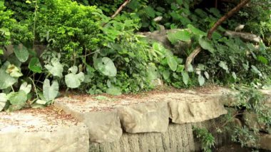 Rüzgarlı bir yaz gününde güzel bir taş yürüyüş yolu