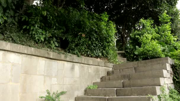 Όμορφη Ασιάτισσα Κατεβαίνει Πέτρινα Σκαλιά Για Συναντήσει Κάποιον — Αρχείο Βίντεο