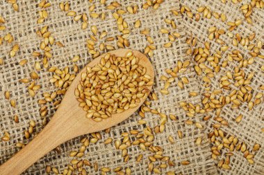 Kavrulmuş Flax 'ın tepesinde arka planda çuval bezi olan ve uzayı kopyalayan her yemek için sağlıklı ve lezzetli bir ilave vardır.