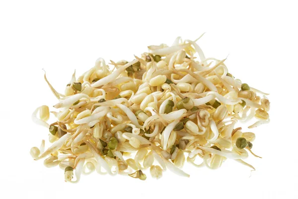 Close Healthy Bean Sprouts Isolated White Backgrond Copy Space — Stock Photo, Image