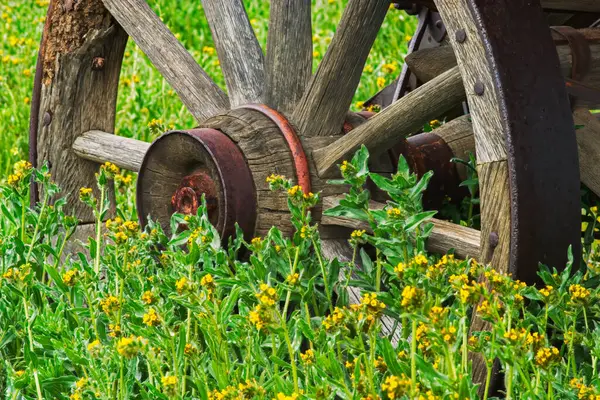 Old Rustic Wagon Wheel Rural Field Yellow Flowers Copy Space — Stock Photo, Image