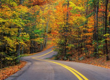 Pine Mountain State Park, Kentucky, ABD, Kuzey Amerika 'da sonbahar yolu