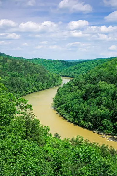 Cumberland River Cumberland Falls State Park Kentucky Usa Nordamerika Med — Stockfoto