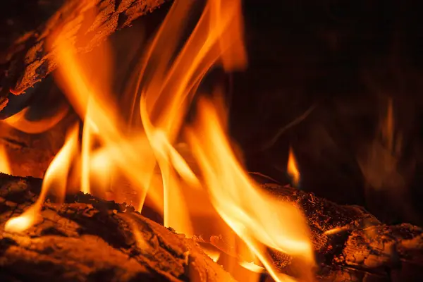 Logs Branden Een Kampvuur Een Camping Met Kopieerruimte Stockafbeelding