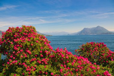 Maggiore Gölü 'nün güzel resimleri