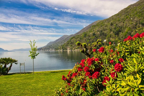 Prachtige Foto Van Lake Maggiore — Stockfoto