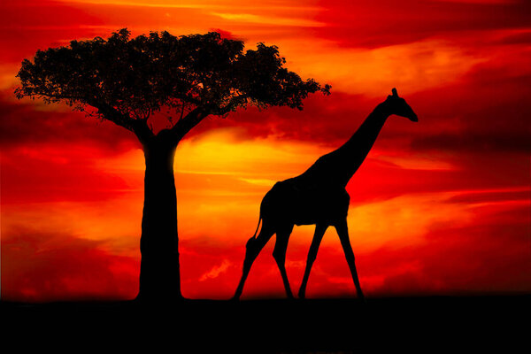 Соссусвлеи и песчаные дюны пустыни Намиб в Намибии