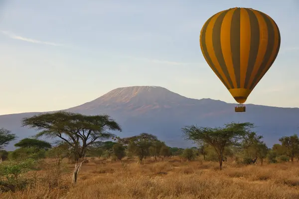 Landschaftsbilder Aus Dem Amboseli Nationalpark Mit Dem Kilimandscharo Stockbild