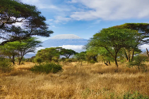Landschaftsbilder Aus Dem Amboseli Nationalpark Mit Dem Kilimandscharo Stockfoto