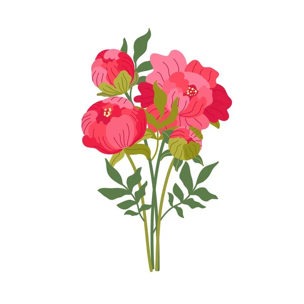 エレガントな開花牡丹の花束 ベクトルフラットイラスト 白に孤立したロマンチックな牡丹 植物の花の装飾 母の日カードのための豪華な花 漫画の花 — ストックベクタ