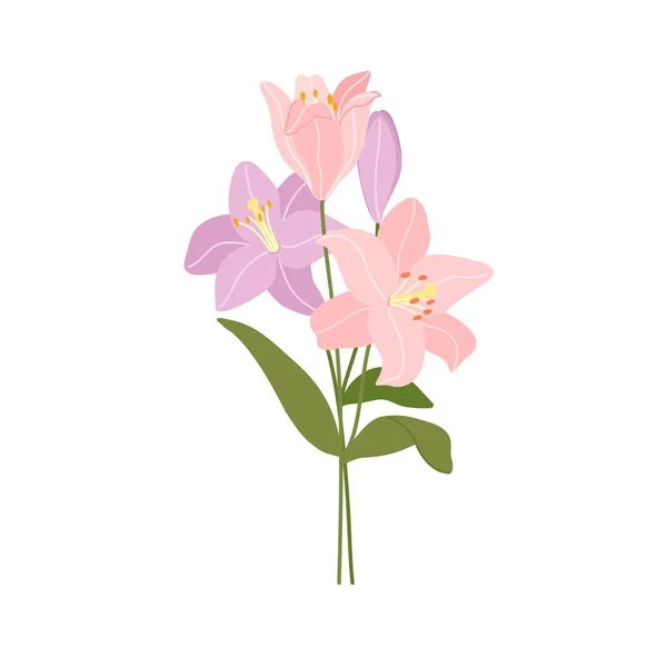 ユリの花や緑の葉の枝を持つお祭りベクトルイラスト 白で隔離されたピンクのユリの花束 春のデザインのための花の組成 グリーティングカードのテンプレート 母の日 — ストックベクタ