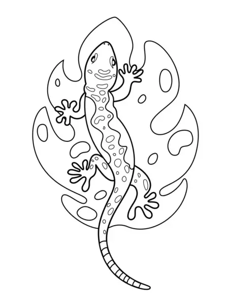 Gecko可爱的矢量插画漫画孤立在白色背景 蜥蜴矢量着色页 为孩子们设计漂亮的彩色页面 矢量说明 免版税图库插图