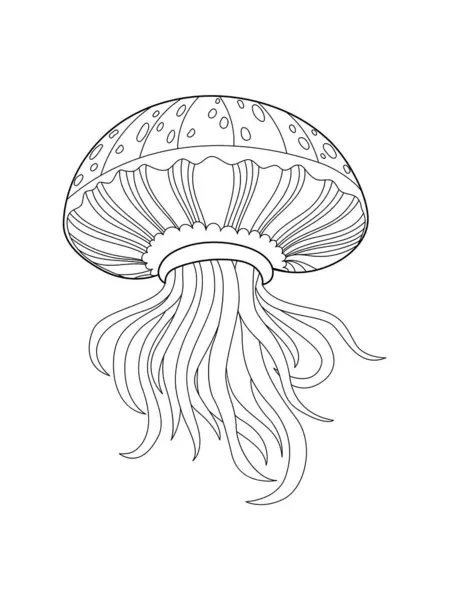 Jellyfish Libro Para Colorear Antiestrés Para Niños Adultos Ilustración Aislada Vector de stock