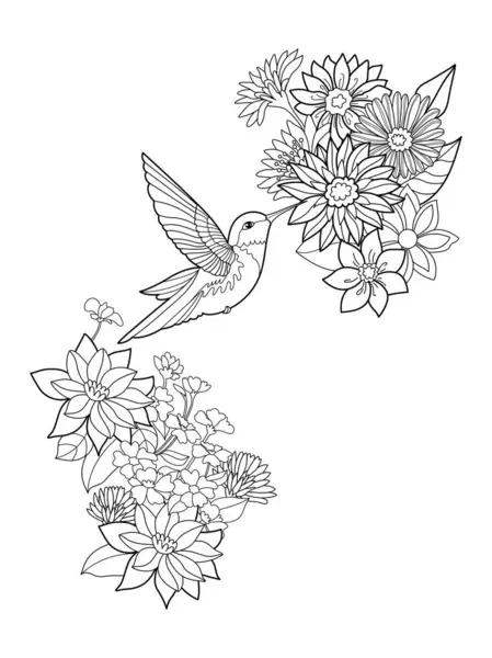 Vector Dibujado Mano Colibrí Pájaro Flores Exóticas Ilustración Tropical Para Gráficos vectoriales