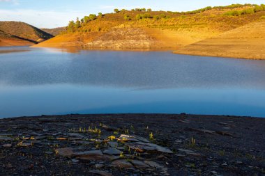İklim değişikliğinin yol açtığı kuraklık yüzünden boş bir bataklık.