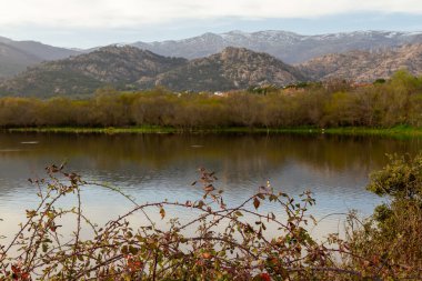 Güzel göl manzarası