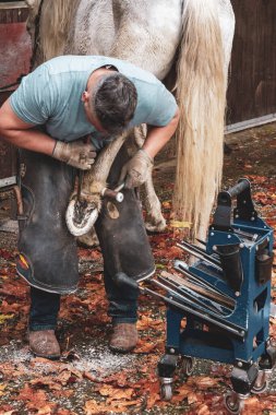 Farrier Shoeing a Horse in a Stable clipart