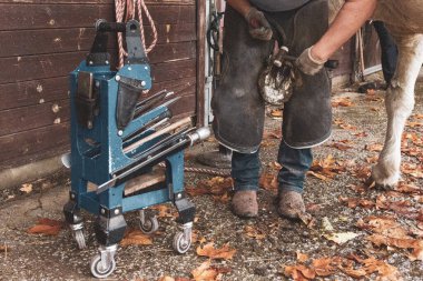 Farrier 'in At Toynağı Dosyalamasının Yakın Çekimi
