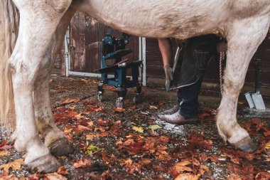 Mavi tişörtlü genç bir adam ahşap kapılı atın yanında duruyor..