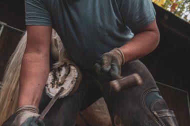 Odaklanmış Farrier At nalını yerine oturtuyor