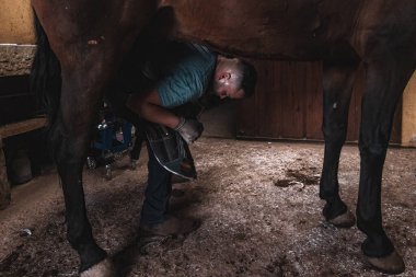 Ahırda At Nallayan Savaşçı