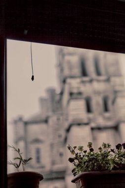 Window View with Gothic Cathedral and Potted Plants in HDR clipart