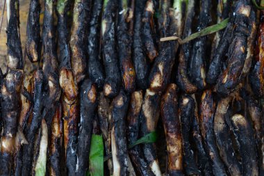 Köy usulü ızgarada pişmiş Calcots..