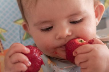 Küçük bir kız ilk çileğini yer. Küçük elleri meyveyi kavrarken yeni dokular ve tatlar keşfeder. Bebek maması, çocukluk ve ilk deneyimler için ideal görüntü.