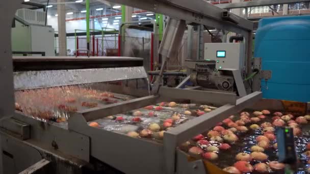 Apple Processing Plantでの新鮮なApple Washing Grading Sorting 収穫後のための食品加工機械Appleの取り扱い Appleの生産と収穫後の管理 — ストック動画