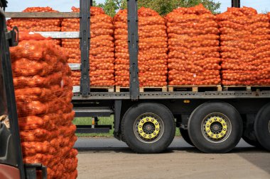 Forklift Paletlenmiş Soğan Torbası Yükleme Ağı ile markete Dağıtım Aracına Paketlendi. Soğan Hasadı Kampanyası 2022. Sarı Soğan Paketleri Nakliyeye Hazırlanıyor.