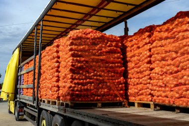 Piyasaya Dağıtım Ağı 'na sarılı Palleized Onion Bags yüklü kamyon. Soğan Hasadı Kampanyası 2022. Sevkiyat için sarı soğan paketleri hazırlanıyor. Sebzelerin En Hızlı Kullanımı.