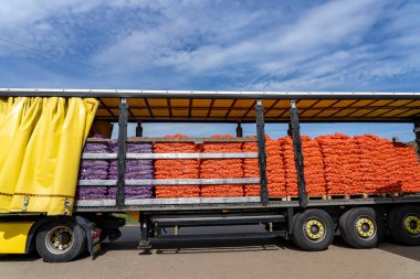 Piyasaya Dağıtım Ağı 'na sarılı Paletlenmiş Soğan Torbalarıyla Kamyon Yükleniyor. Küresel Gıda Ticaret. Nakliye için kırmızı ve sarı soğan paketleri hazırlanıyor. Sebzelerin En Hızlı Kullanımı.