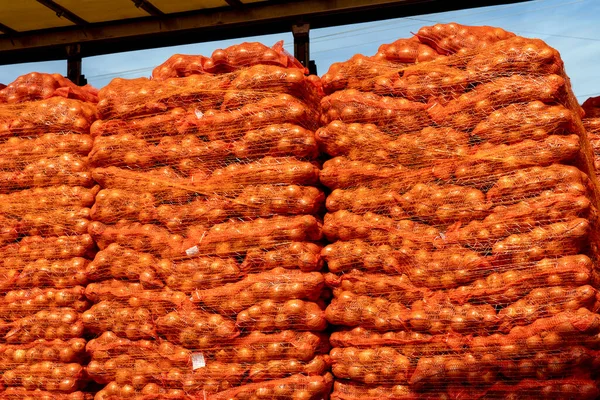 Kamyon Palleized Onion Poşetleriyle Dolu Ağa Sarılı Nakliyeye Hazır Küresel — Stok fotoğraf