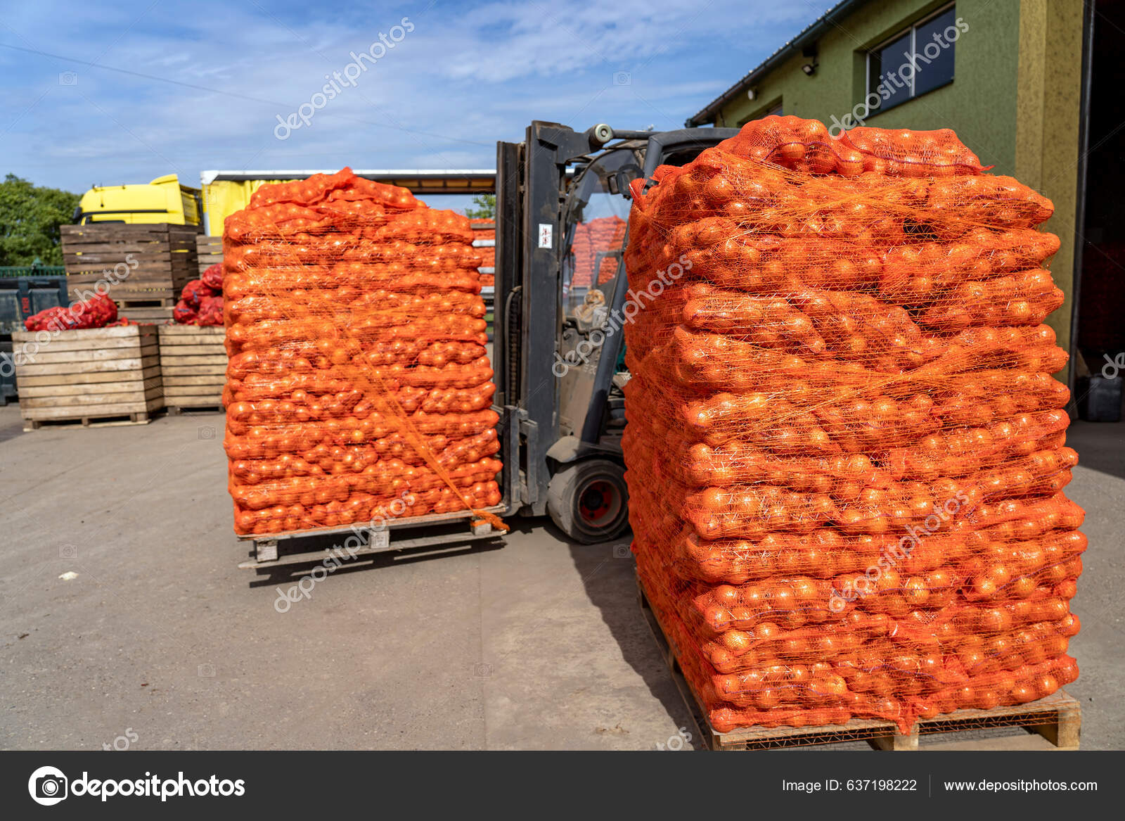 Share 155+ onion bags bulk best esthdonghoadian