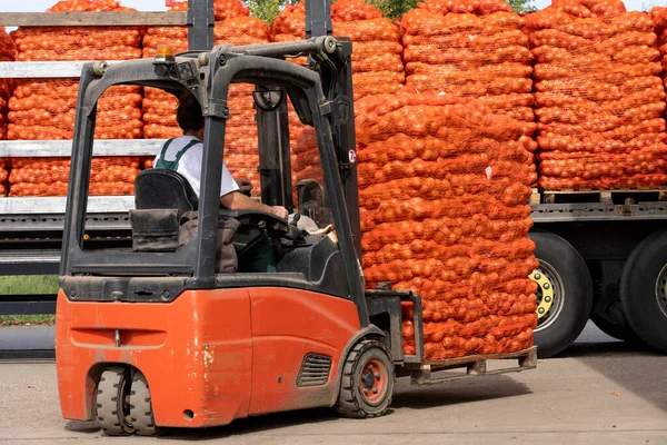 Forklift Loading Mesh Bags Fresh Onion Truck Onion Harvest Campaign — Φωτογραφία Αρχείου