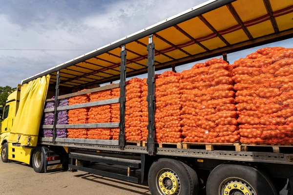 Truck Loaded With Pallets of Fresh Red and Yellow Onion for Distribution To Market. Onion Harvest Campaign. Preparing Packages of Red and Yellow Onion for shipping. Postharvest Handling Of Vegetables. Transport and Logistics.