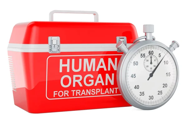 Réfrigérateur Portable Pour Transport Organes Donneurs Avec Chronomètre Rendu Isolé — Photo