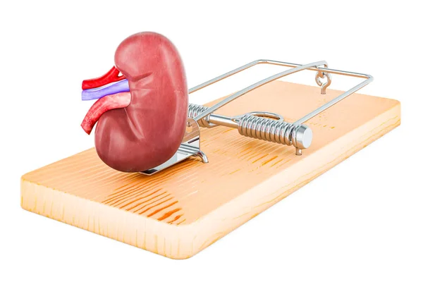 Kidney Pain concept. Human kidney inside mousetrap. 3D rendering isolated on white background