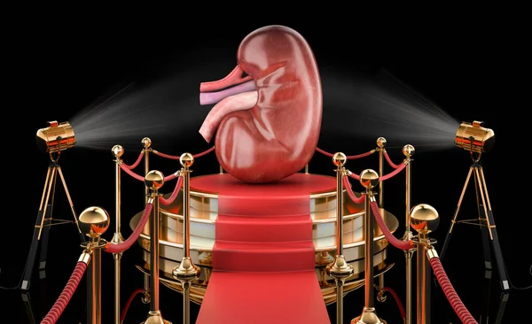 Podium Met Menselijke Nieren Weergave Zwarte Achtergrond — Stockfoto