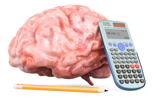 Mózg Kalkulatorem Ołówkiem Koncepcja Badań Rendering Izolowany Białym Tle — Zdjęcie stockowe