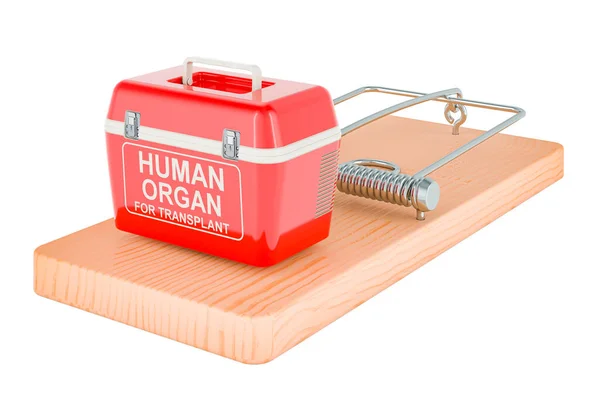 Portable fridge for transporting donor organs inside mousetrap. 3D rendering isolated on white background