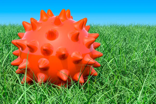 Spiky Μπάλα Για Μασάζ Παιχνίδι Για Κατοικίδια Ζώα Στο Πράσινο — Φωτογραφία Αρχείου