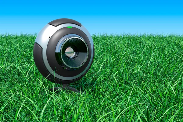 Webcam Green Grass Blue Sky Rendering — Stock Photo, Image