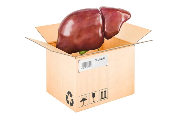 Vesícula Biliar Fígado Humano Dentro Caixa Papelão Conceito Entrega Renderização — Fotografia de Stock