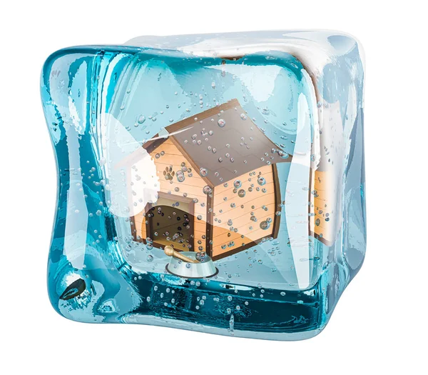 木制狗窝 碗骨冻结在冰块中 3D显示白色背景隔离 — 图库照片